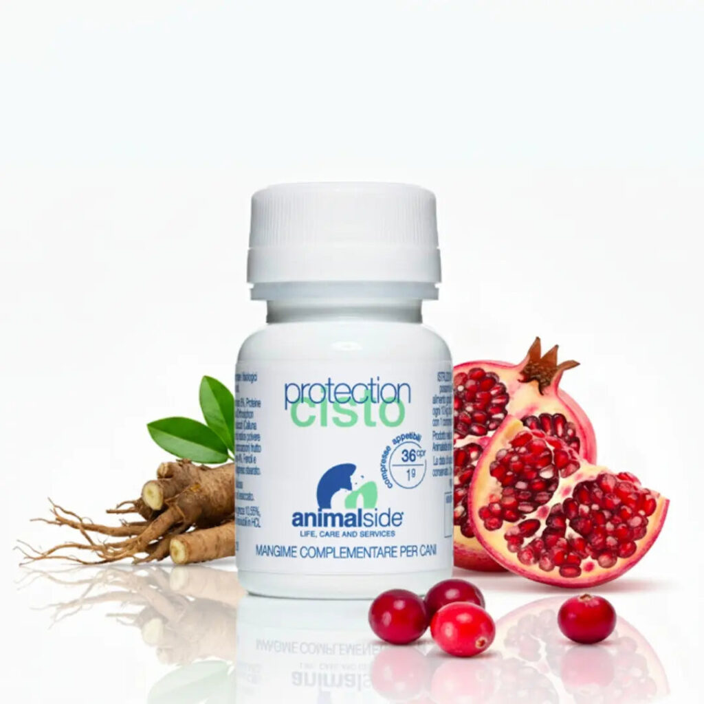 protection cisto