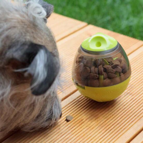 Mettere il cane a dieta? Bastano solo le crocchette giuste